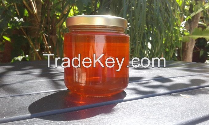 100% Original Pure Stingless Bee Honey