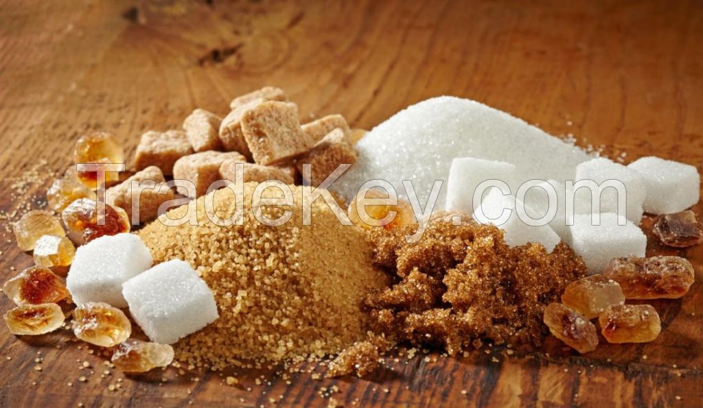 100% High Quality White/Brown Refined Sugar 45 ICUMSA