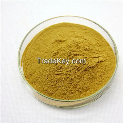 High Quality Kava Extract Powder, Kavalactones 30% 40% 70% 80%