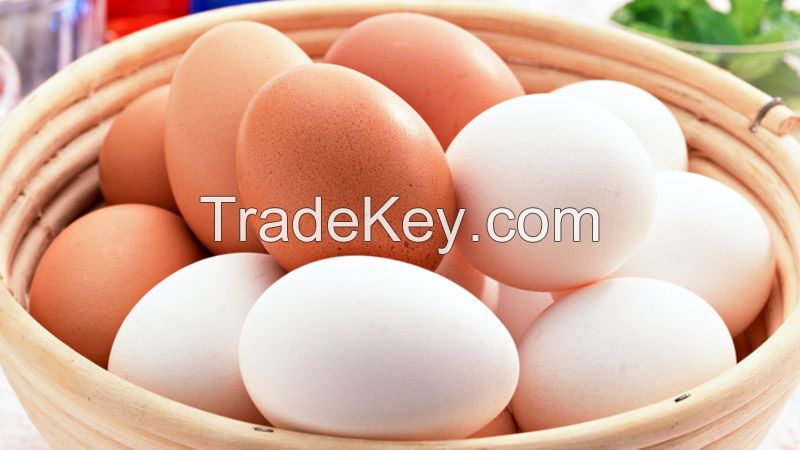 Brown and White Fresh Duck / Chicken / Quail / Ostrich / and Fish Eggs