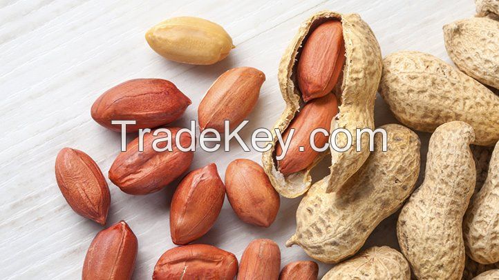 Good Quality Raw Peanuts without shell and with Shell for sale