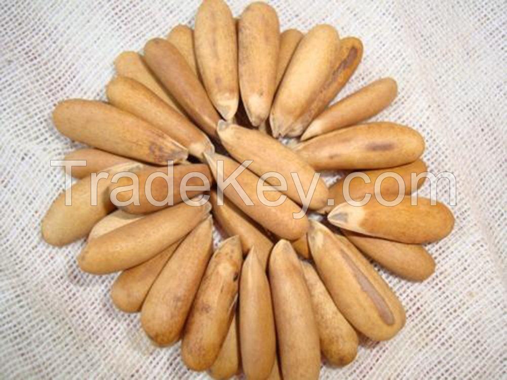 High quality grade A 100% Organic Pine Nuts  For Sale