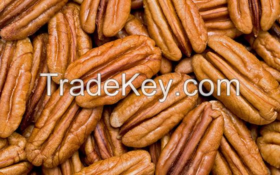 Grade A Premium Quality Pecan Nuts For Sale/ Pecan Nut In Shell / Pecan Nut Pieces