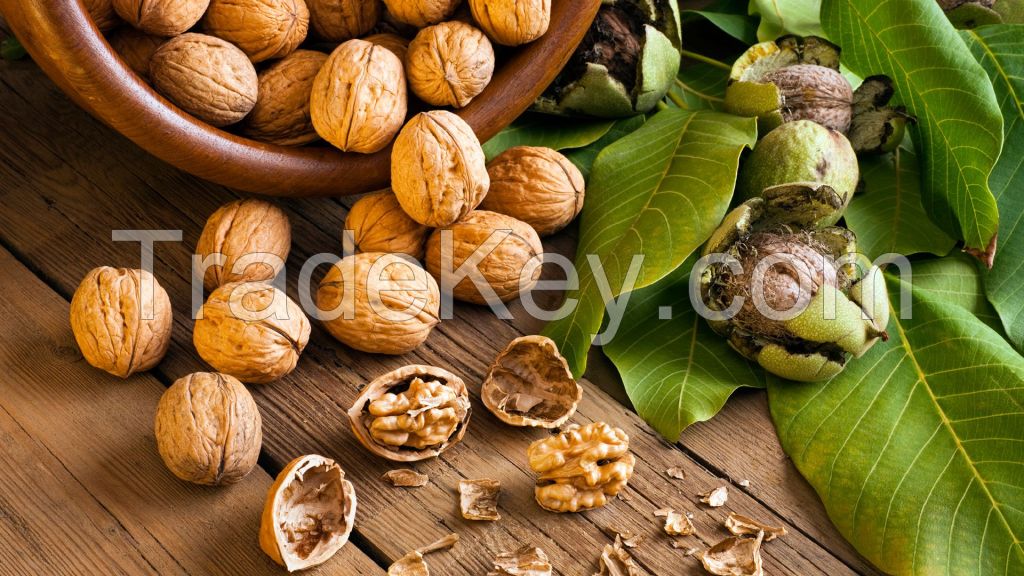 Best Price Oganic Walnuts with Thin Shell Or Kernel.