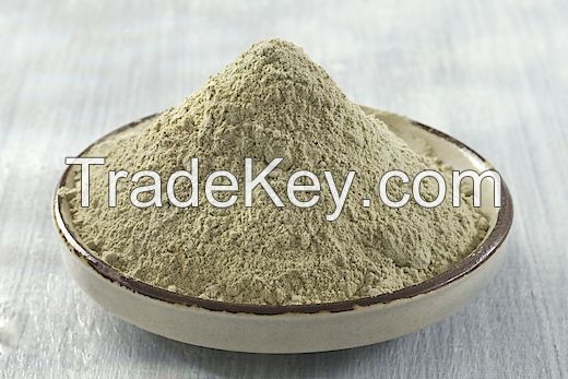 Bentonite Powder / Best Price / Cheap Price