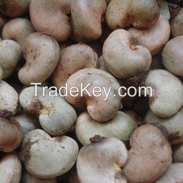 Unprocessed Cashew Nuts