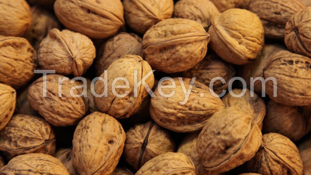 cheap walnuts for sale