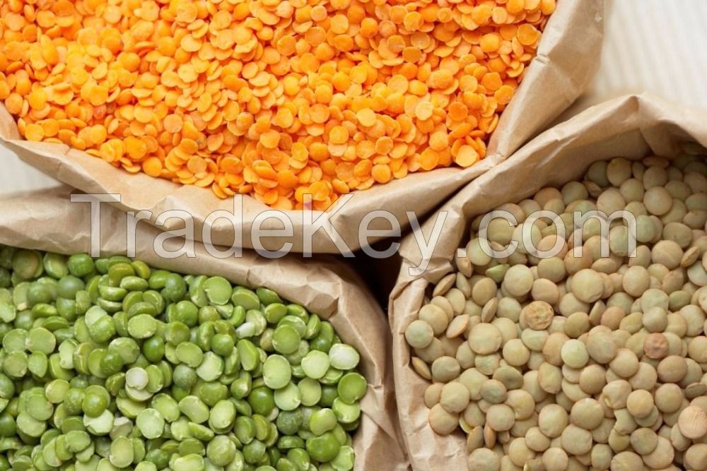 Super Quality Green / Yellow / Red Split Lentils / Green Split Lentils / Lentils Beans
