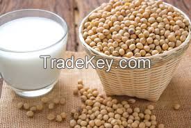 Good Protein Organic instant soy milk powder soya milk