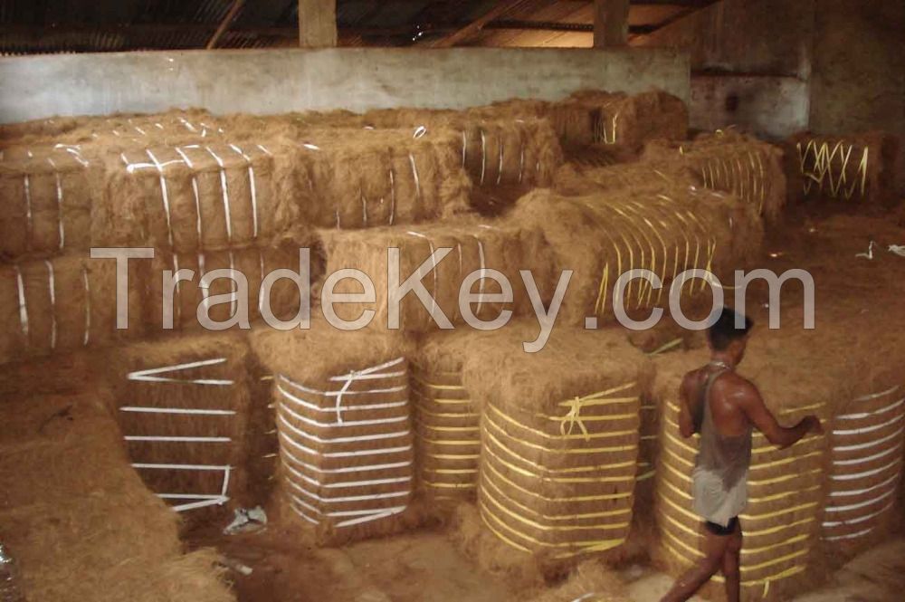 Coconut Fiber whatsapp us +270638706510