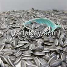 Oil Sunflower Seed/Bi Ma A Kind of Oil Seeds Zibo Castor Seeds