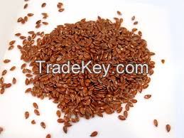 Hybrid Carot Seeds, Common Carrot Seeds