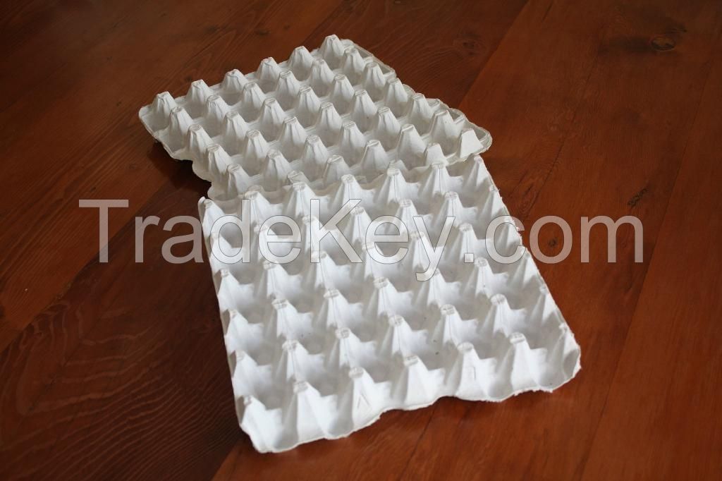 Disposable 30 Pack Paper Egg Trays