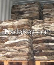 Genuine Leather Dry And Wet Salted Donkey hide, Cow Hides.