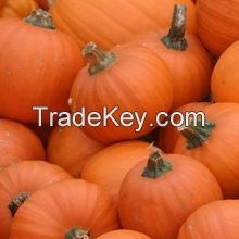 Best Quality Fresh Pumpkins