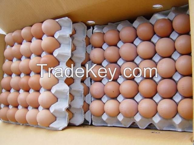 Fresh white and brown chicken table eggs