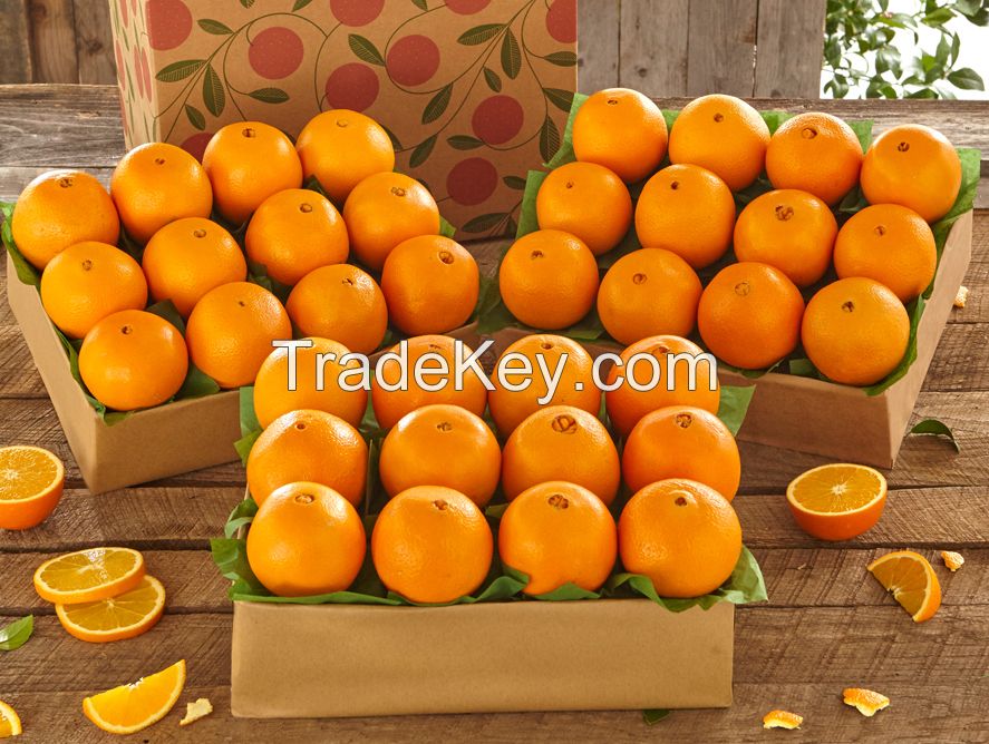 Fresh Organic Navel Oranges