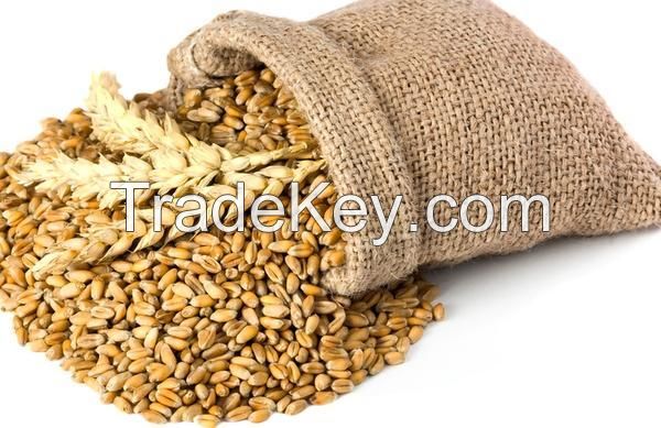 Quality Wheat / Durum Wheat / Milling Wheat