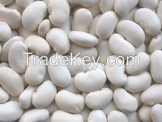 White Kidney Beans