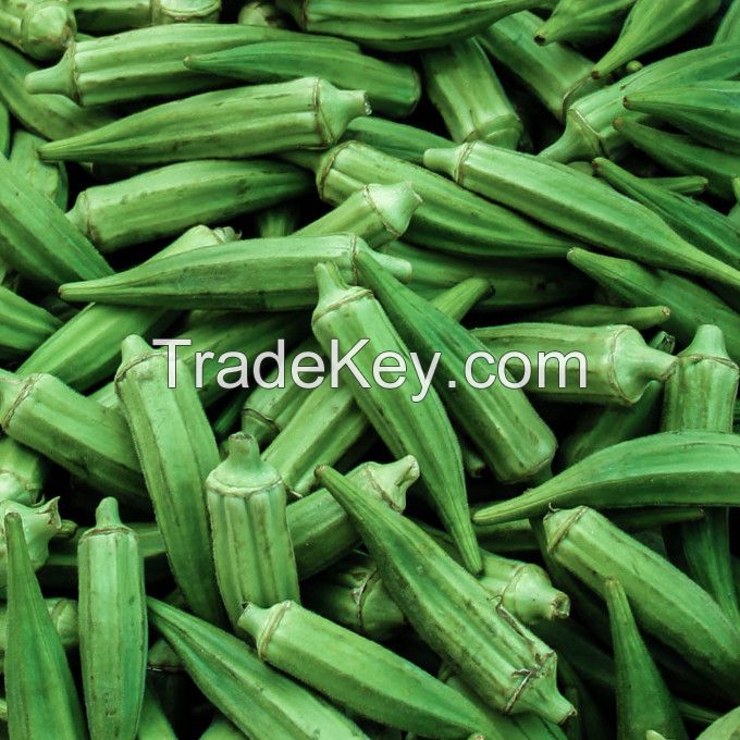 BEST QUALITY FRESH OKRA