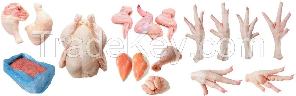 Quality Halal Frozen Whole Chicken and Parts / Gizzards / Thighs / Feet / Paws / Drums