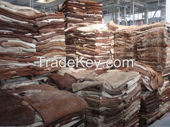 Wet Salted Donkey Hides/ Cow Hides/Sheep And Goat Skin