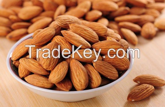 Good Quality Almond Nuts