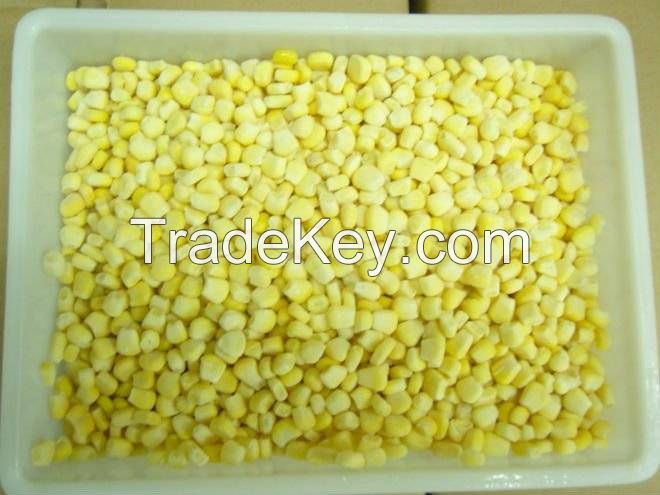 Garde A quality frozen IQF kernel sweet corn