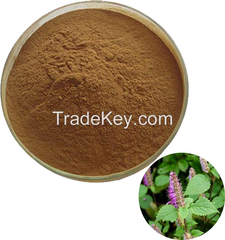 Pure Natural Chinese Mosla Extract Powder