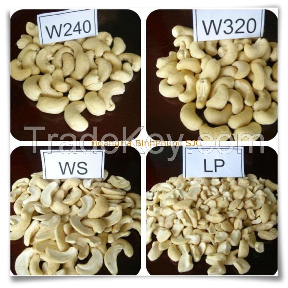 Vietnam Cashew Nuts W240, W320, WS, LP For Sale