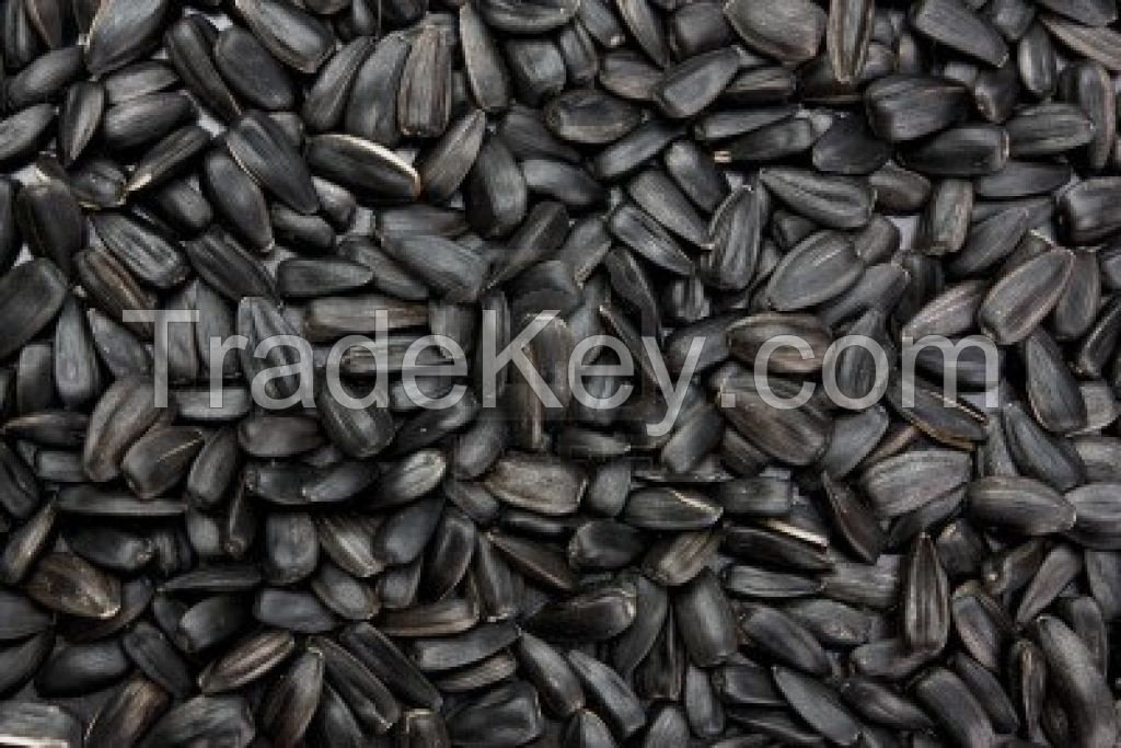 100% Black Sunflower Seeds