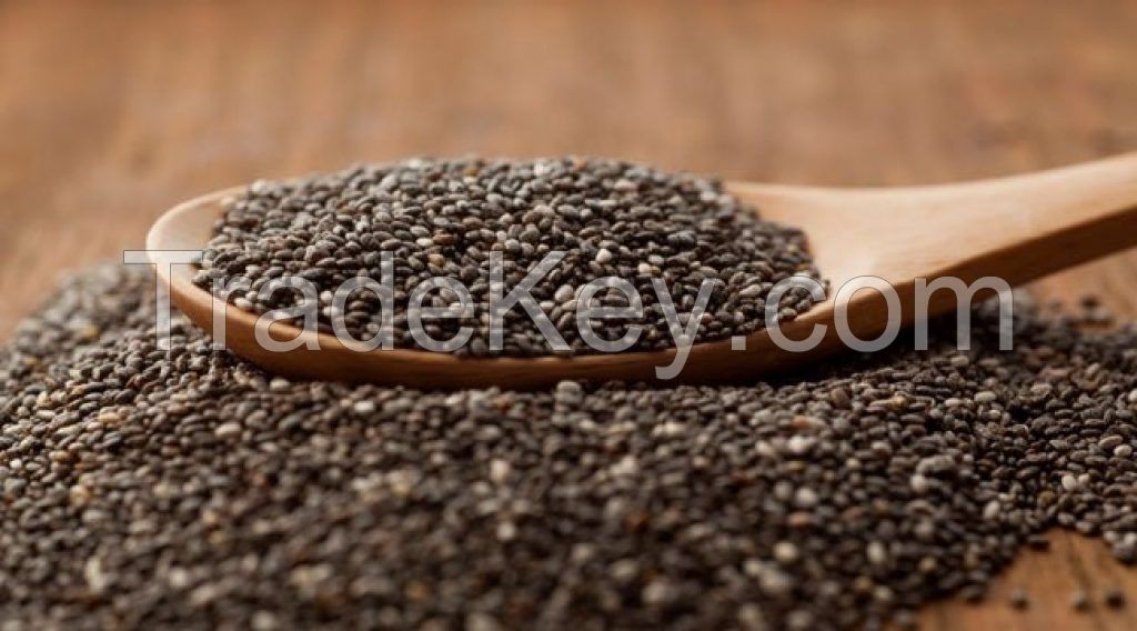 Chia Seeds/Organic Chia Seeds for sale /Chia Seeds in Stock