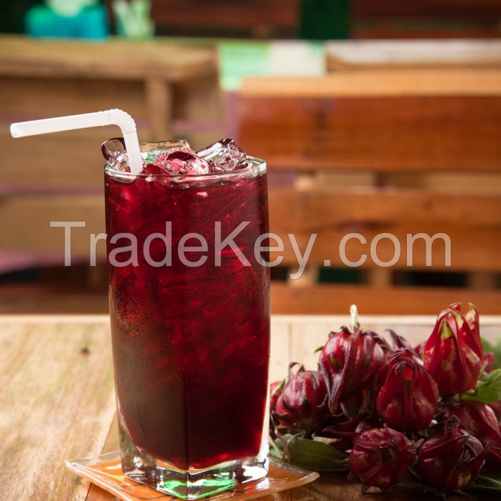 Sell Hibiscus Flower