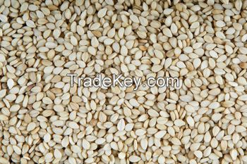 Sell White Sesame Seeds