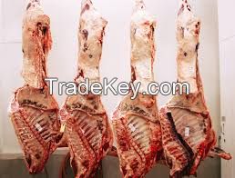 Beef Carcasses