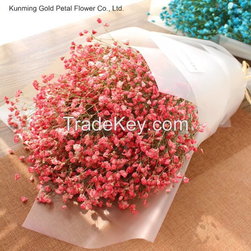 Factory Direct Supply Dried Flower Gypsophila for Wedding Home Decoration