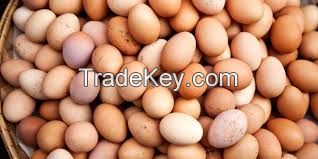 Fresh Table eggs, hatching eggs and chicken parts for sale