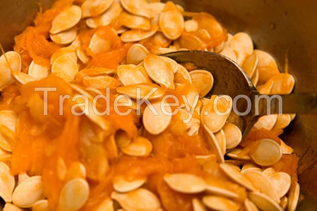 Best quality wholesale organic pumpkin seeds