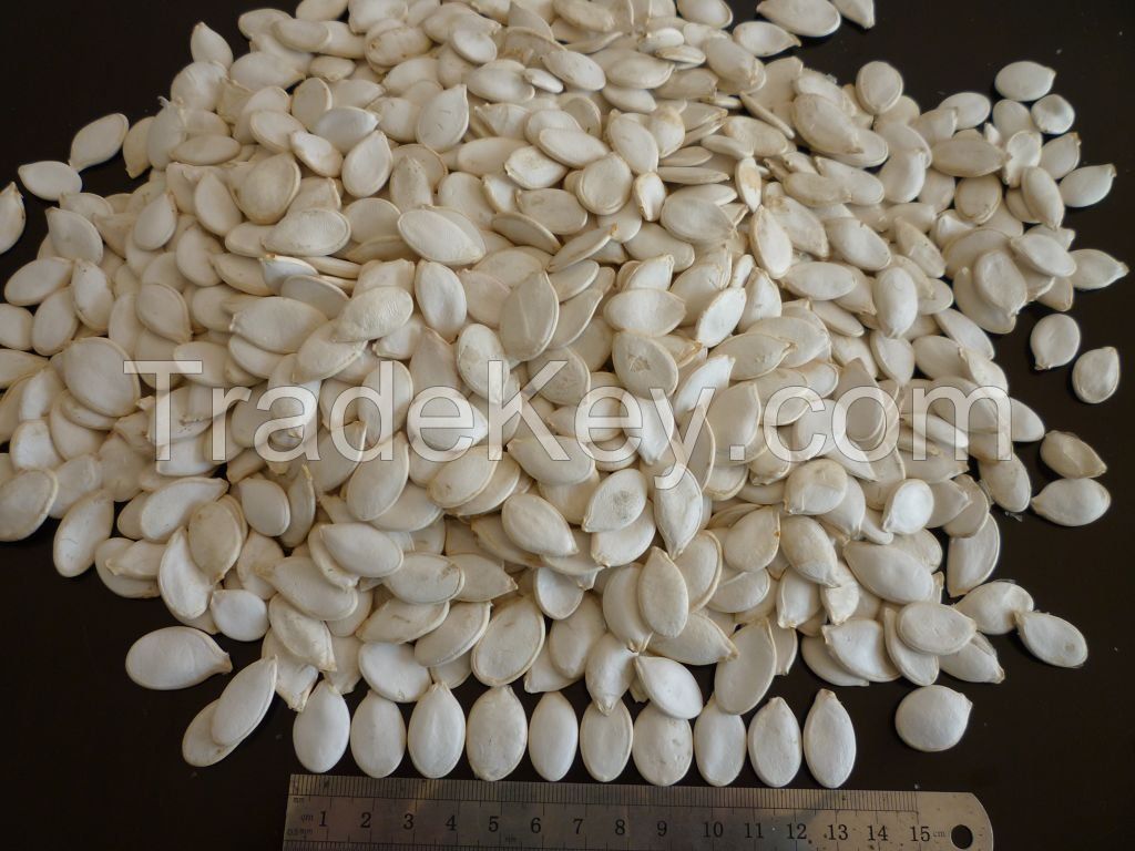 Organic Pumpkin Seeds In Shell