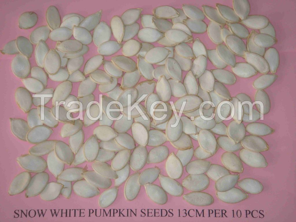 Grade AA shine skin pumpkin seeds kernels, hulled snow white pumpkin seed kernels wholesale