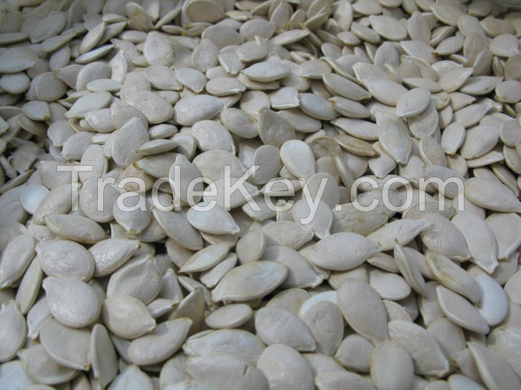 shopping websites agarwood seeds pumpkin seed