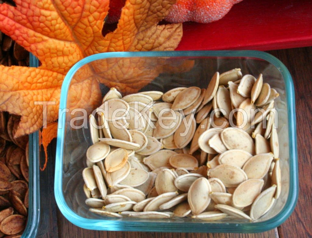 chinese factory best quality shine skin pumpkin seeds