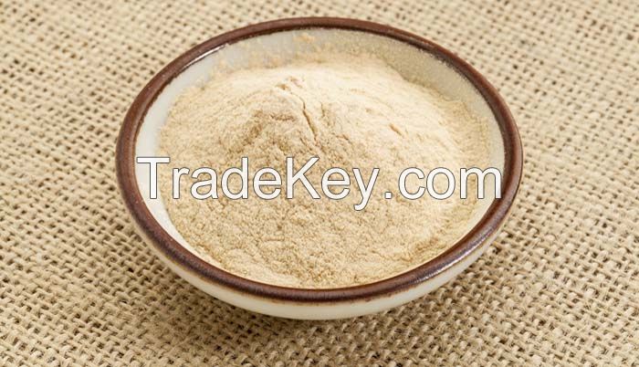 Brown Rice Protein Powder