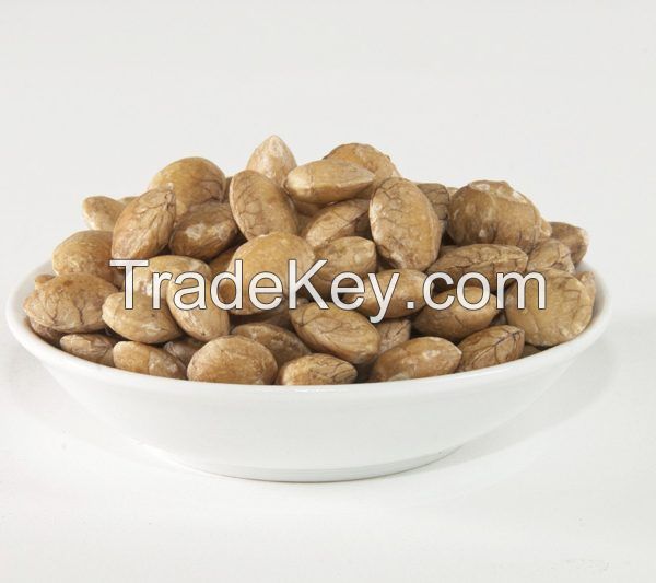 Salted Sacha Inchi Nuts