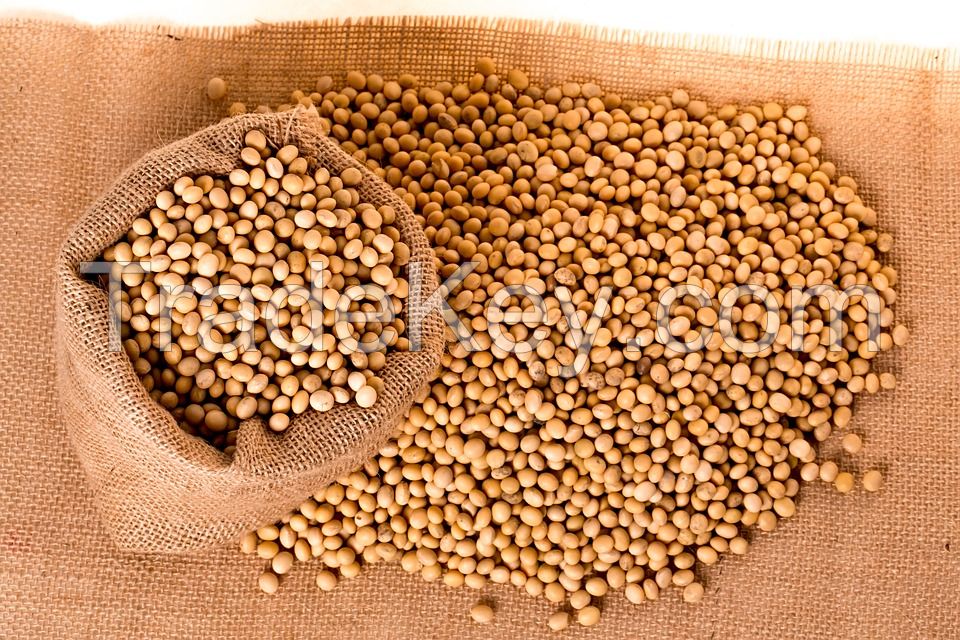 ORGANIC SOYBEANS