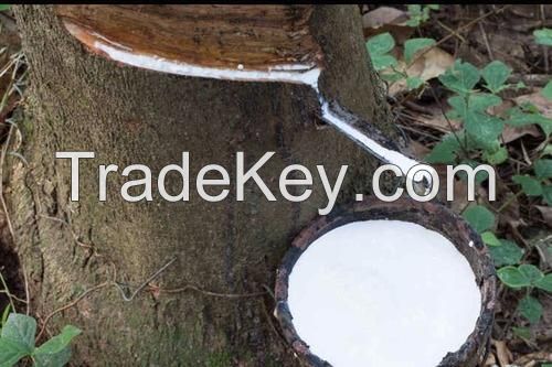 Natural rubber latex /Natural Rubber Latex 60% Drc With High / Low Ammonia