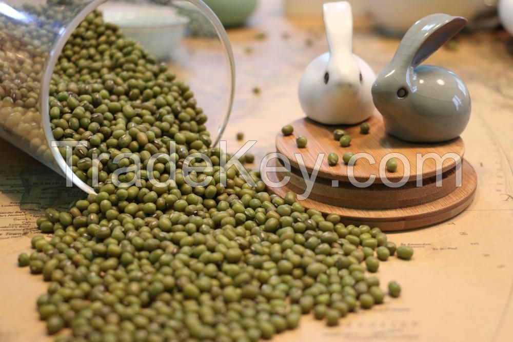 high nurtition nature dried green mung beans 3.0mm
