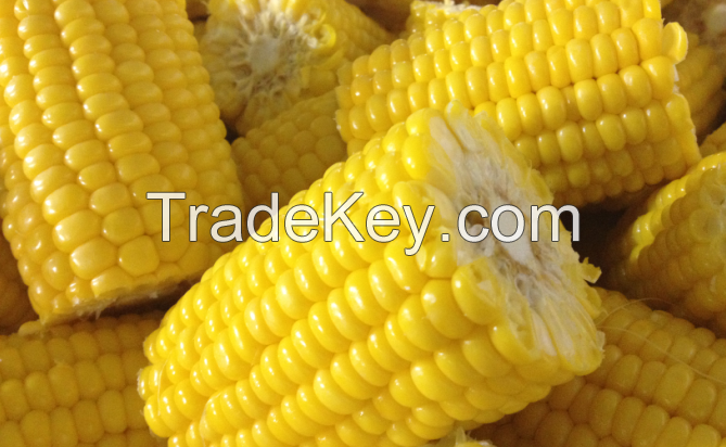 yellow bulk sweet iqf frozen whole kernel corn
