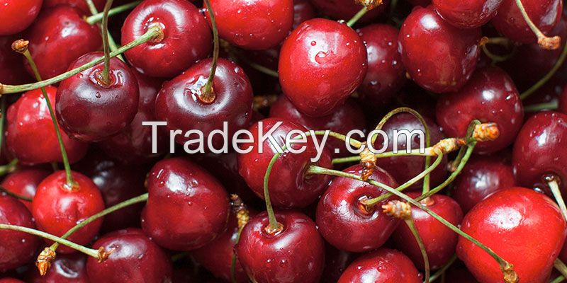 fresh cherries