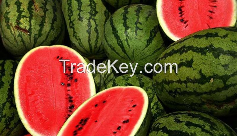 fresh water melons